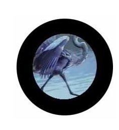 info-237-258 info-237-258